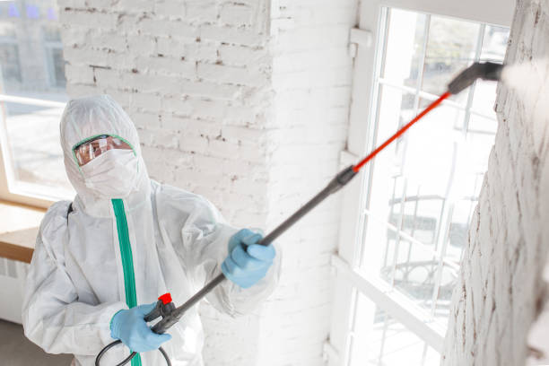 Best Airborne Mold Testing  in Belle Plaine, MN
