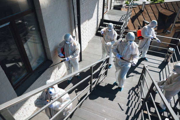 Best Commercial Mold Inspection  in Belle Plaine, MN