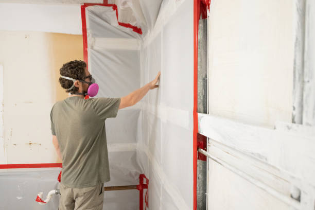 Best Black Mold Removal  in Belle Plaine, MN