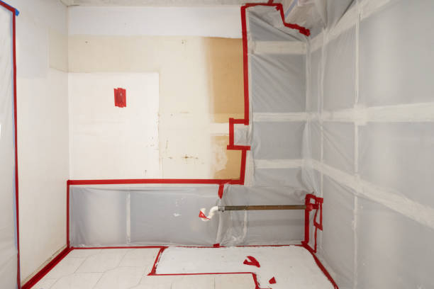  Belle Plaine, MN Mold Removal Pros