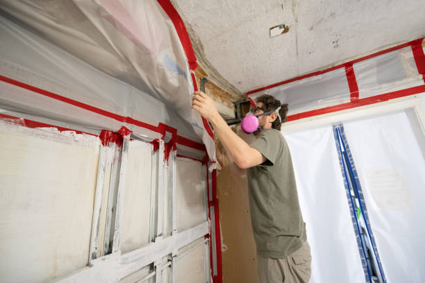 Best Indoor Air Quality Assessment  in Belle Plaine, MN