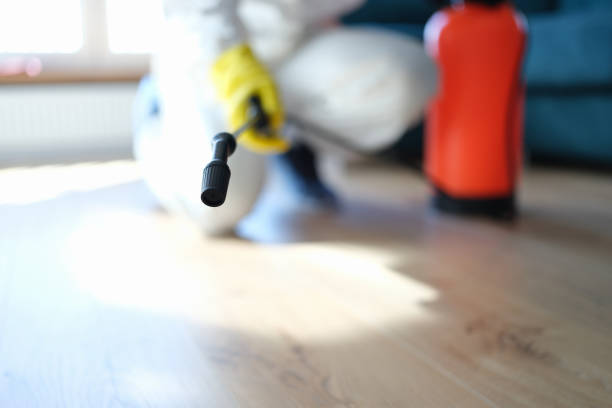 Best Air Quality Testing for Mold Spores  in Belle Plaine, MN