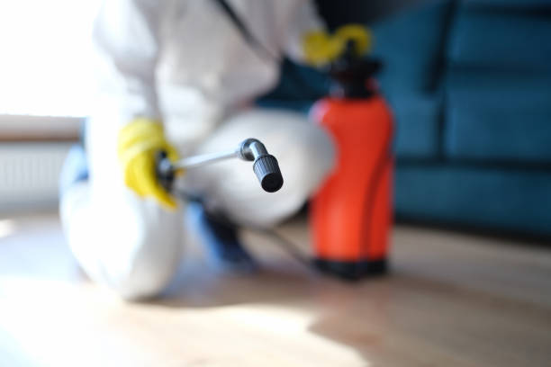 Mold Documentation for Insurance Claims in Belle Plaine, MN