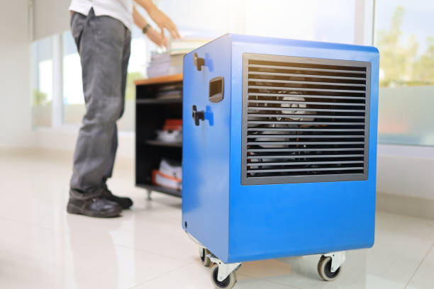 Best Comprehensive Air Testing for Mold Contaminants  in Belle Plaine, MN