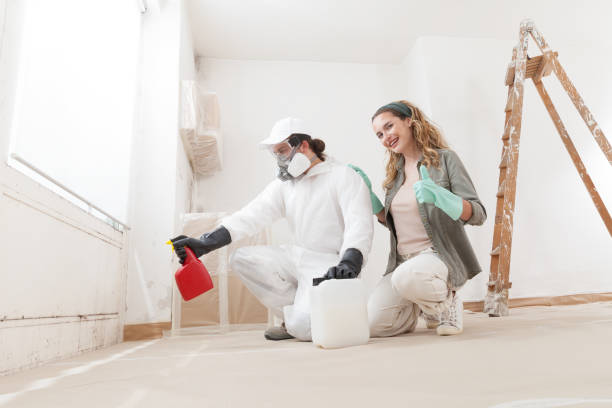 Best Mold Documentation for Insurance Claims  in Belle Plaine, MN