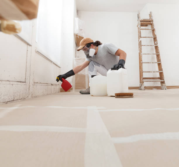Best Industrial Mold Remediation  in Belle Plaine, MN